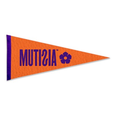 9"X24" Wool Felt Pennant without Pole