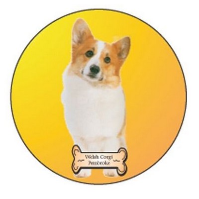 Welsh Corgi Dog Executive Ornament w/ Mirrored Back (4 Square Inch)