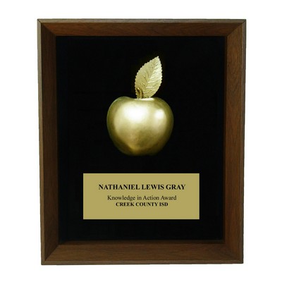 9"x12" Apple Shadow Frame Award