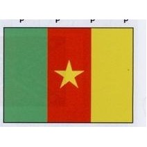 Cameroon Flag (2'X3')