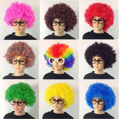 Festival Afro Crazy Fan Wig