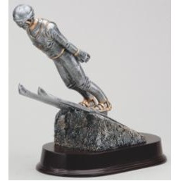 Ski Jumper Award