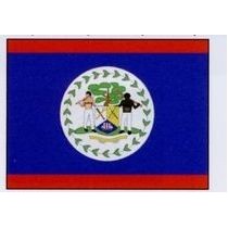 Belize Flag (2'X3')