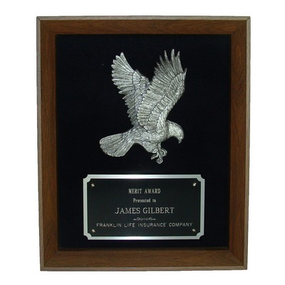 8"x10" Eagle Shadow Frame Award