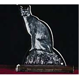 Crystal Silhouette Mountain Lion Award (as corporate Regional theme award)