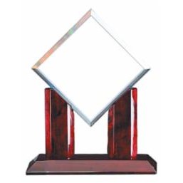 Real Estate Glass/Metal Award