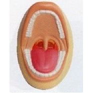 Medical Series Mouth w/ Tonsils Stress Reliever Toys