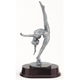 Female Gymnastic Award