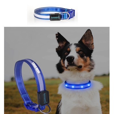 Led Dog Collar