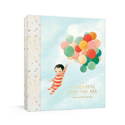 The Wonderful Baby You Are (A Record of Baby's First Year: Baby Memory Book