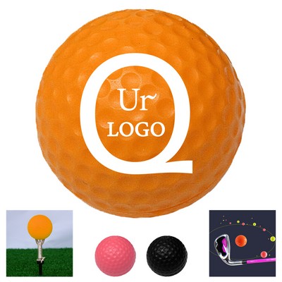 2-Layer Professional Golf Ball Diameter 1.67