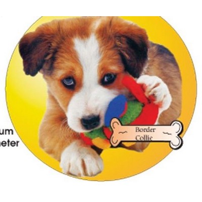 Border Collie Dog Acrylic Coaster w/Felt Back