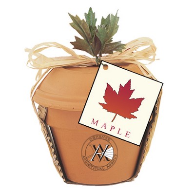 Deluxe Plant Kit w/Maple Tree Seeds