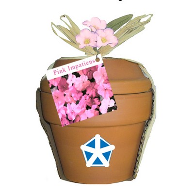 Deluxe Plant Kit w/Pink Impatiens Seeds