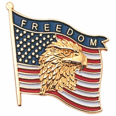 7/8" Freedom American Flag Die Struck Pin w/Eagle