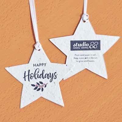 Classic Twig Plantable Star Ornaments