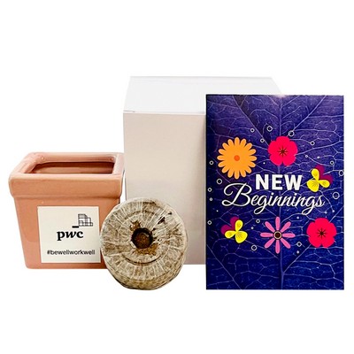 New Beginnings Flower Seed Kit in Ceramic Pot