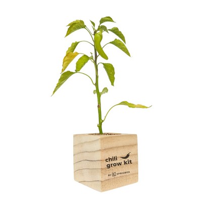 Chili Grow Kit