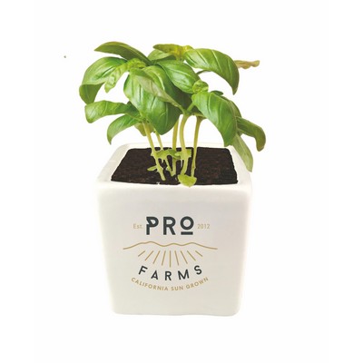 Basil Grow Kit w/Ceramic Pot