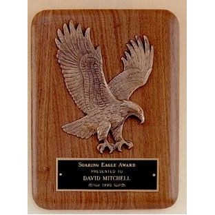 Airflyte Collection Plaque w/ Antique Bronze Relief Eagle (7"x9")