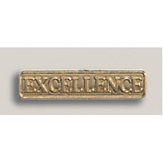 Stock Excellence Lapel Pin