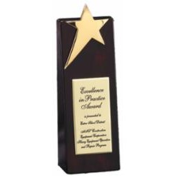 Tower w/Shooting Star Award