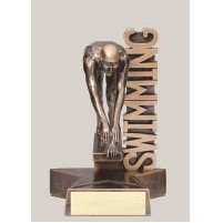 8.5" Male Swimming Billboard Resin Series Trophy