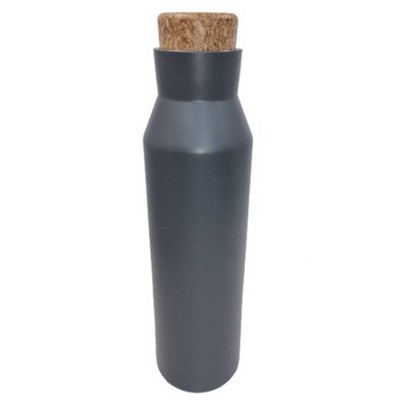 20oz Insulated Stainless Bottle