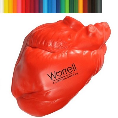 Anatomical Heart Stress Ball