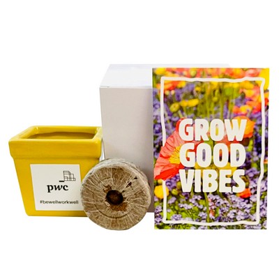 Grow Good Vibes Flower Seed Kit in Ceramic Pot