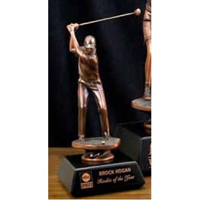 10" Bronzed Golfer Trophy