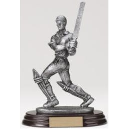 Male Cricket Batsman Award