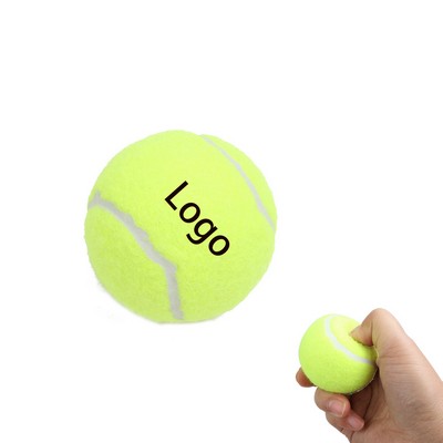 Rubber Training Ball For Pets