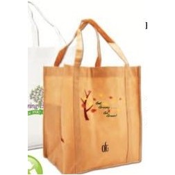 Non Woven bag 12x8x13