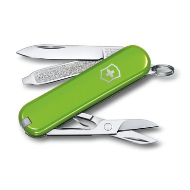 Swiss Army Classic SD Knife Smashed Avocado Green