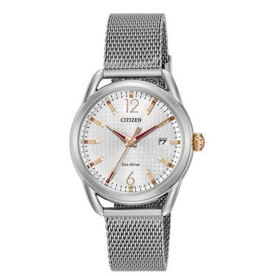 Citizen® Ladies LTR Eco-Drive® Stainless Steel Case & Mesh Bracelet Watch