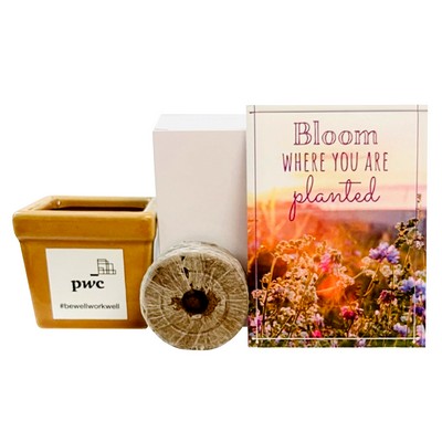 Bloom Where You are Planted Flower Seed Kit in Ceramic Pot