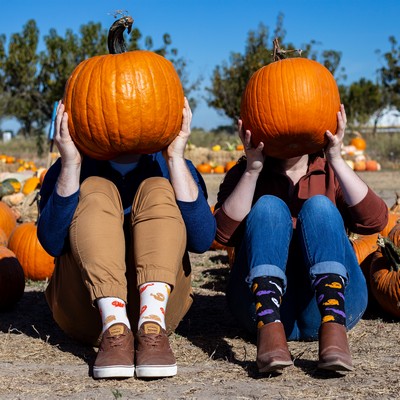 Standard Fall Socks - Basic Autumn Foot Comfort - American Made