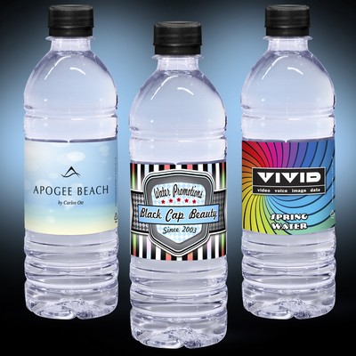 16.9 oz. Custom Label Spring Water w/Black Flat Cap - Clear Bottle