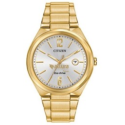 Men's Citizen® Eco-Drive Gold Watch (Silver Tone Dial)