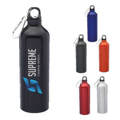 Sports Bottle with Carabiner and Twist Cap - Aluminum Water 24 oz