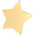 Extra Large Star Stock Lapel Pin (1")