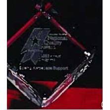 Custom 3D Image in Crystal Large Standing Cube Award (5"x3 1/2")