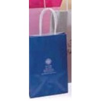 Gloss Colors On White Paper Shopping Bags 8"x4"x10"