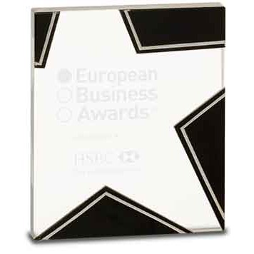 6 3/4" Silver/Black Glass Star Award