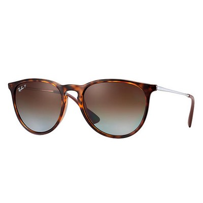 Ray-Ban Polarized Erika Classic Sunglasses