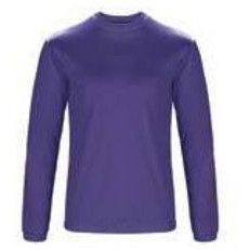 Solid Ladies Crew Neck Pullover Shirt