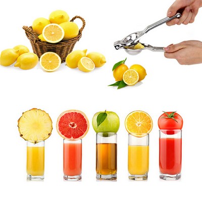 Stainless Steel Juicer