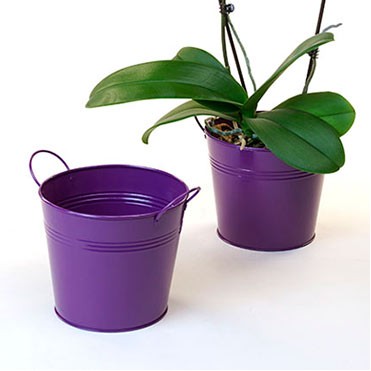 6 1/2" Purple Painted Pail w/Side Handles