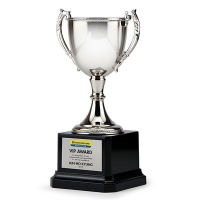 8¾" Tall Silver Zinc Cup Trophy on Plastic Base